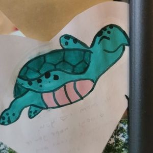 Meet your Posher, Ainsley